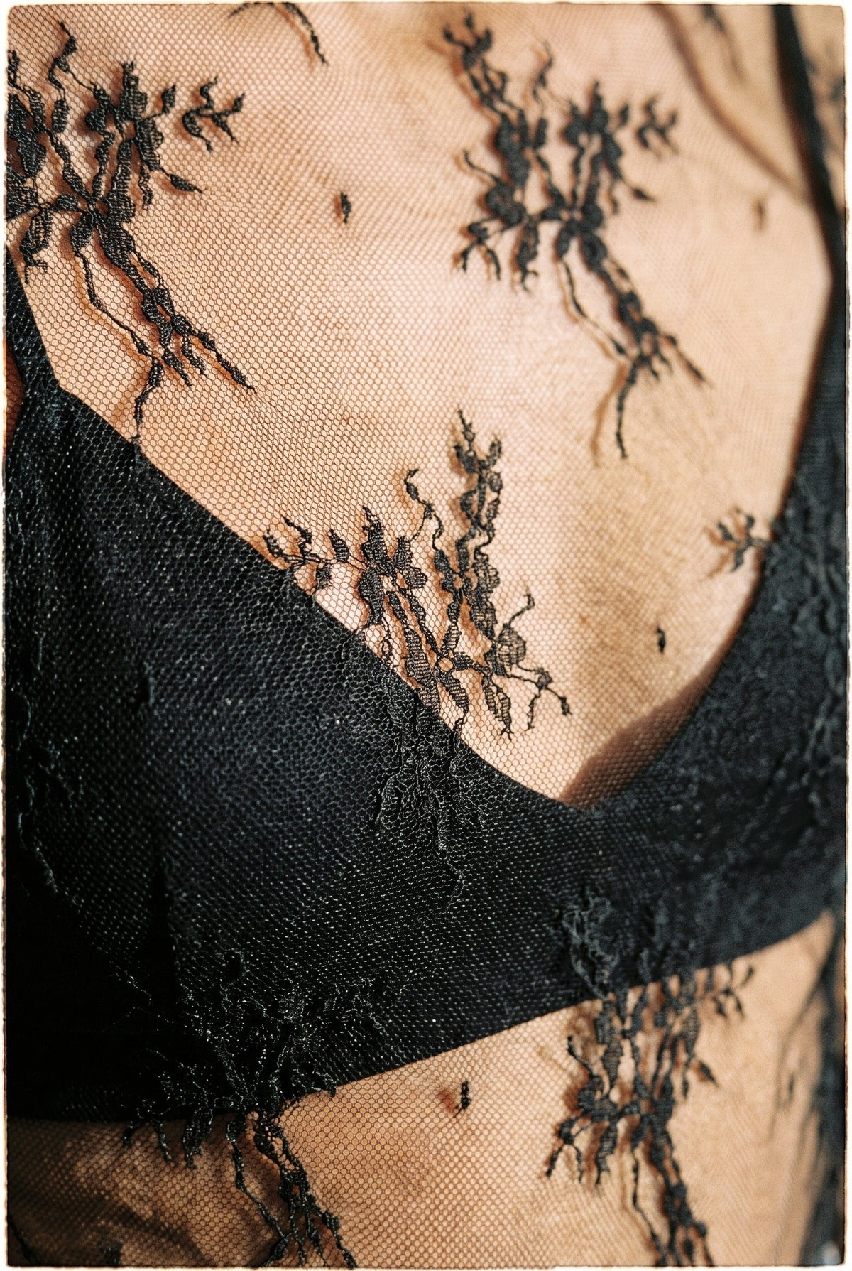 Aubrey Lace Top The Latest Scoop