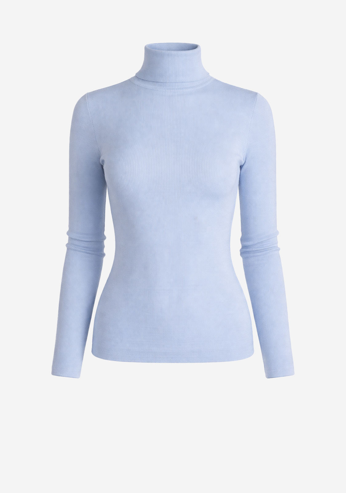 Fitted Rib Knit Turtleneck Blue