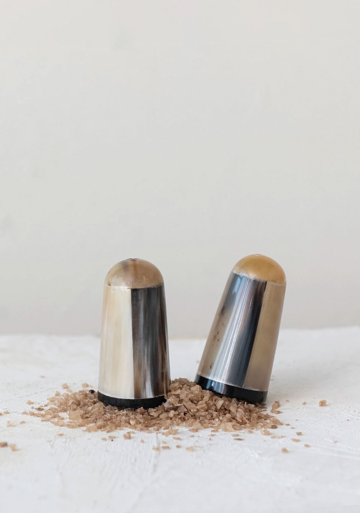 Horn Salt Shakers, Set Of 2