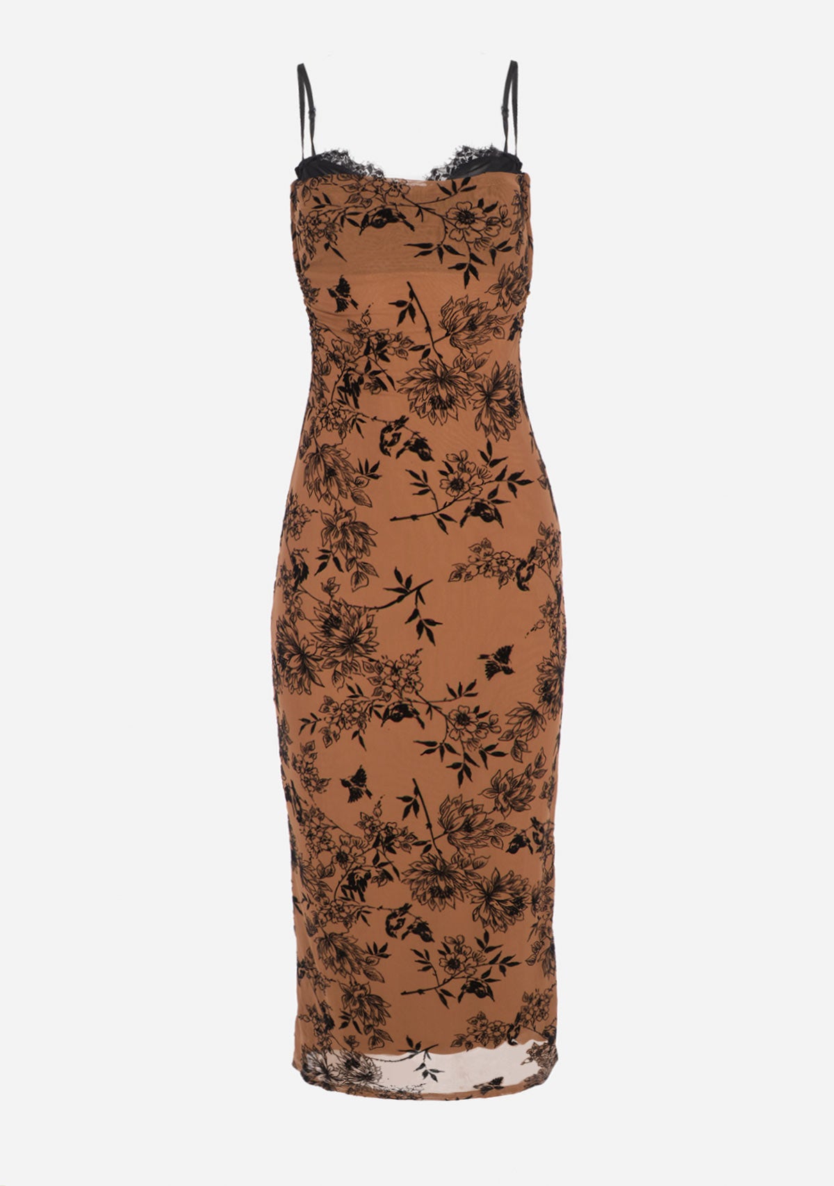 Mesh Velvet Midi Dress The Latest Scoop