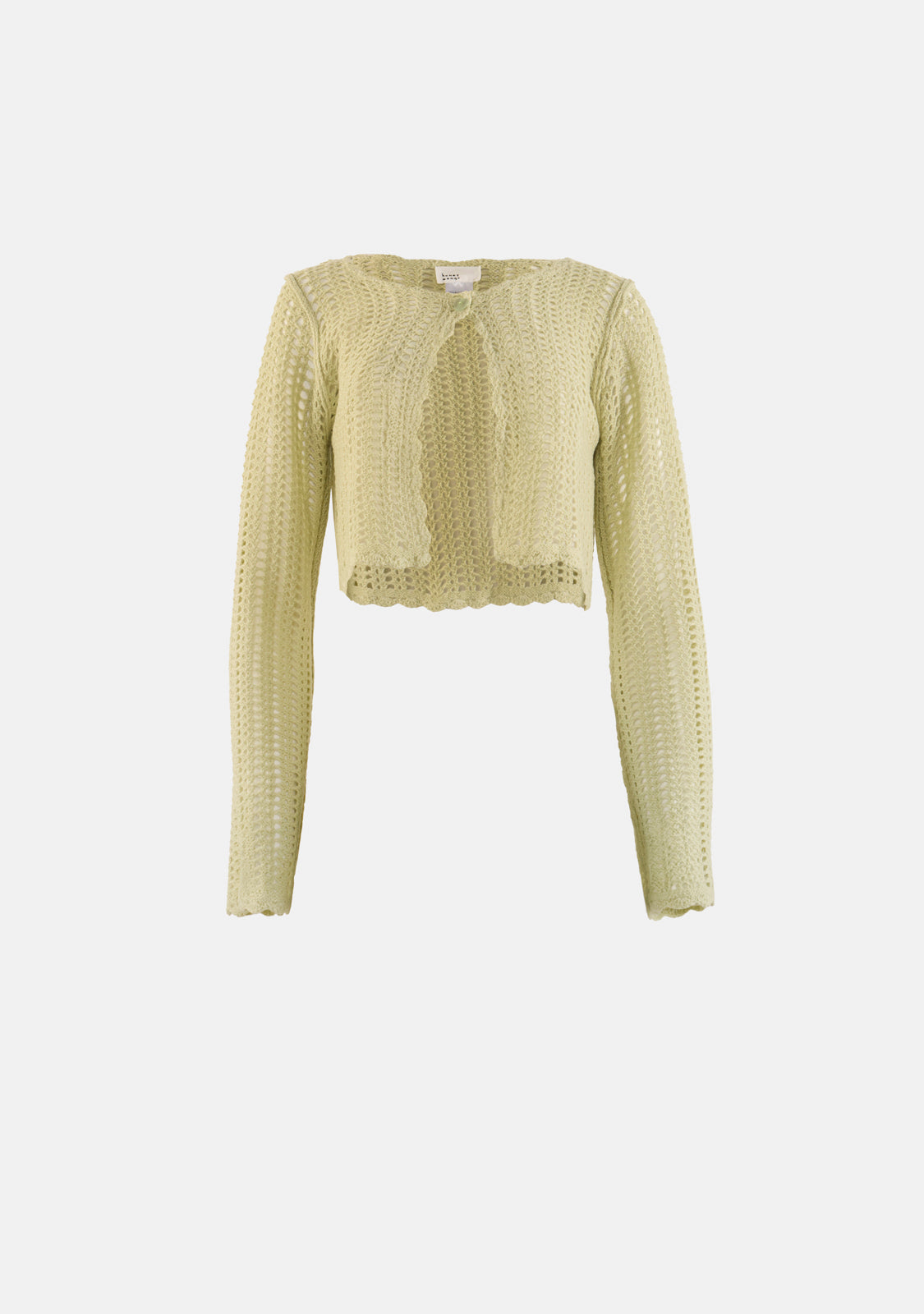 Top Button Knit Cropped Cardigan The Latest Scoop