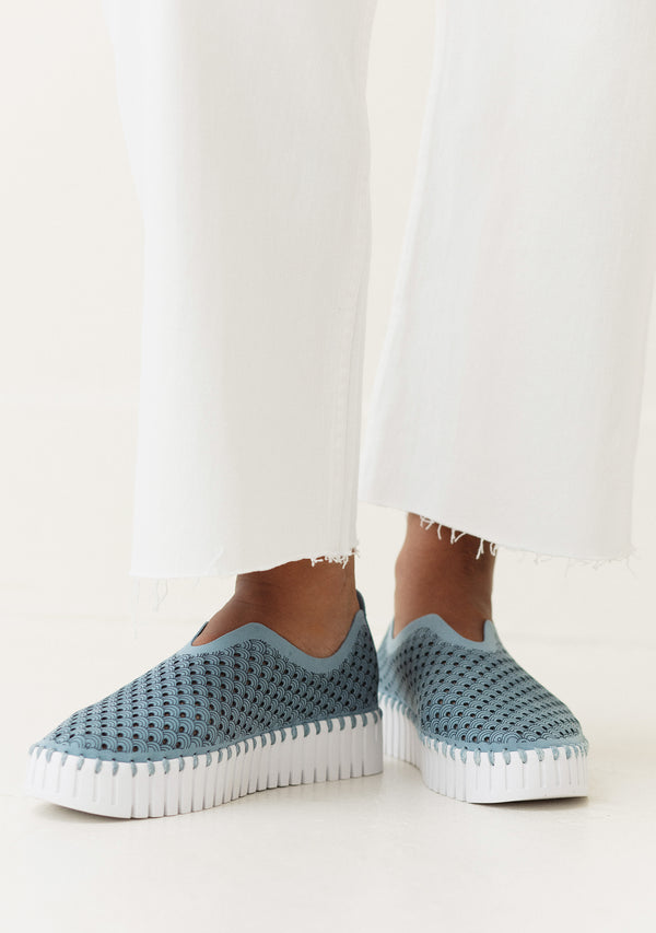 Tulip shoe