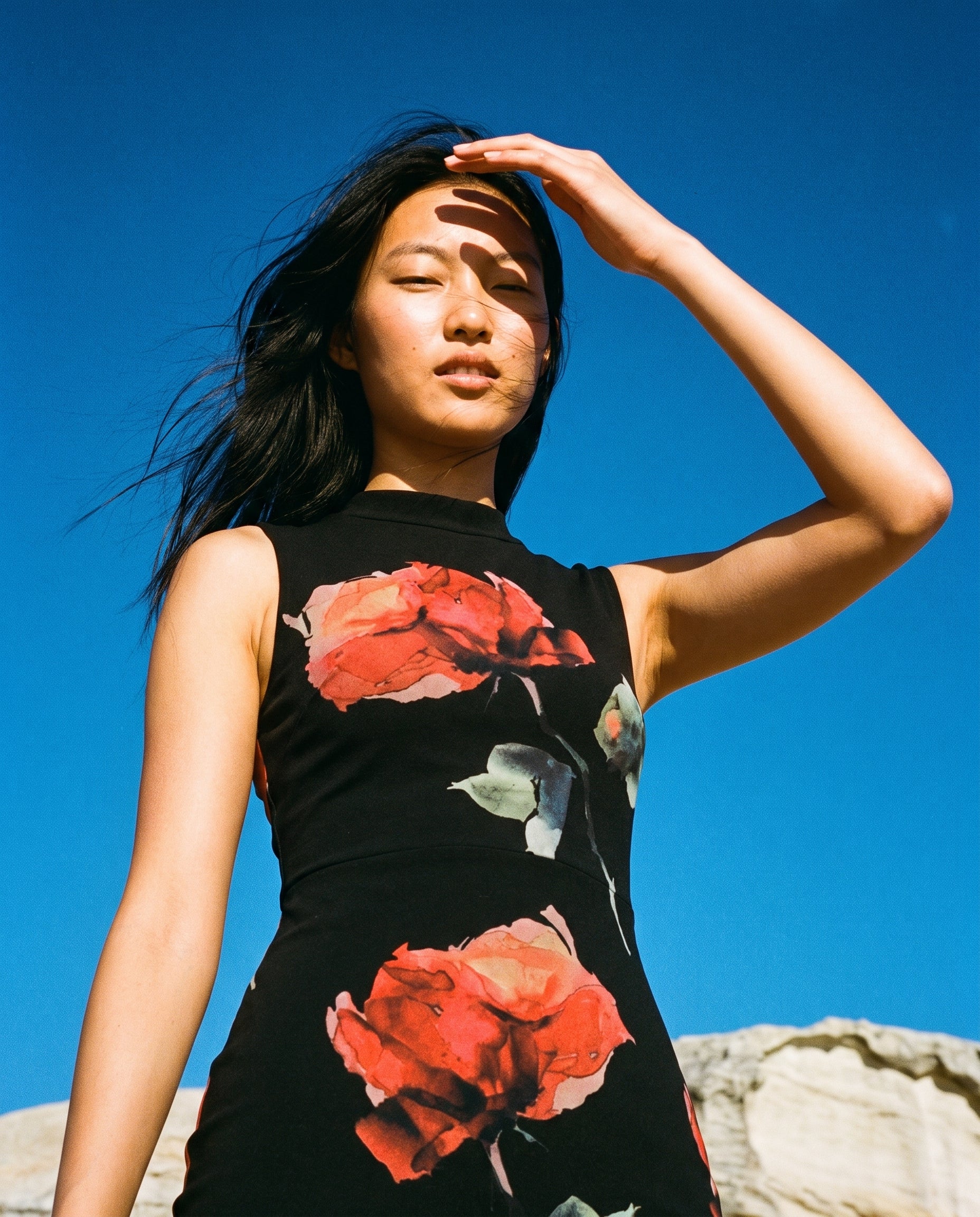 Mesh Print A Line Mini Dress Black Floral