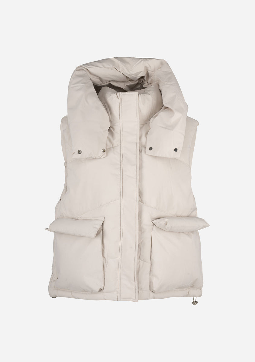 Taylor Vest The Latest Scoop