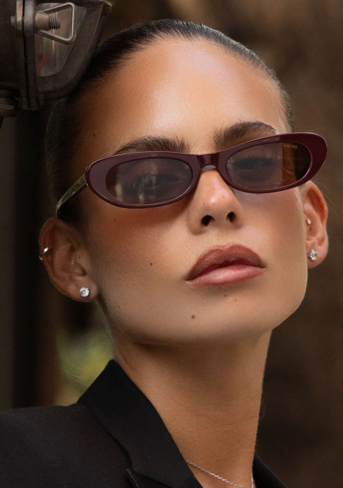 Sophie Acetate Cat Eye Womens Sunglasses
