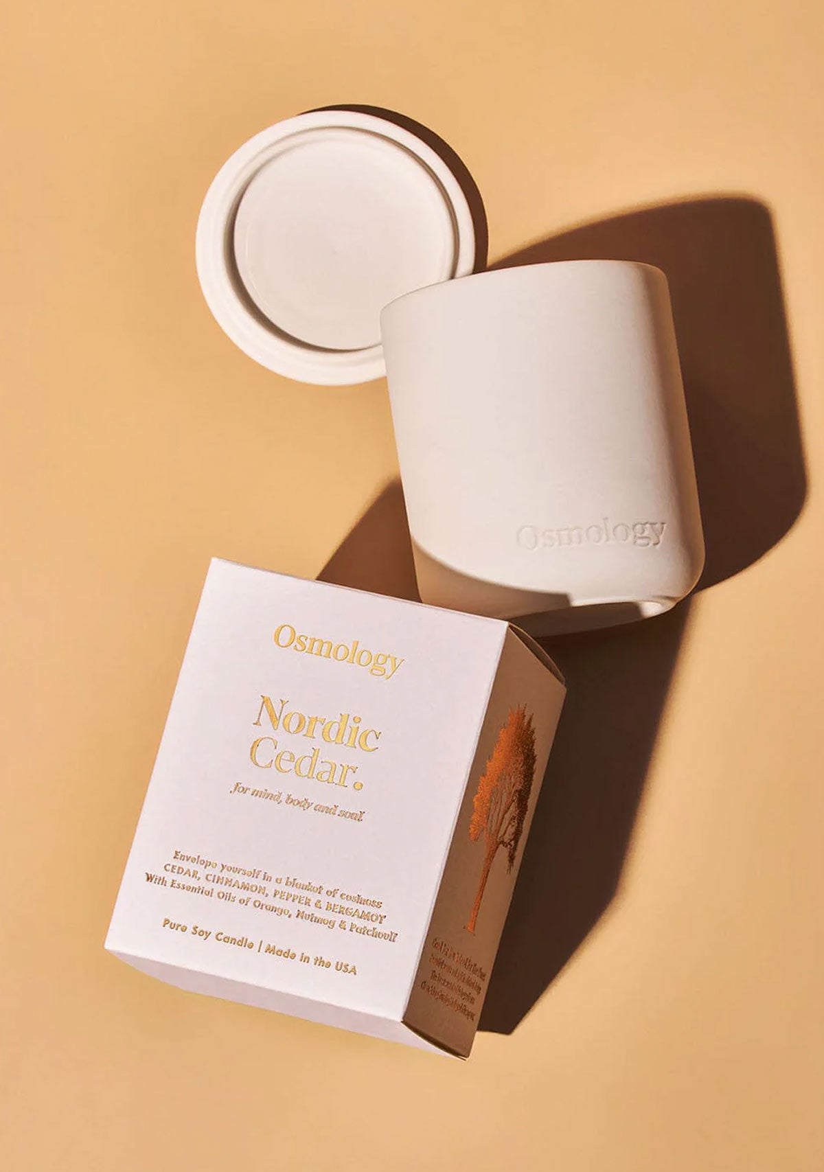 Nordic Cedar Ceramic Candle