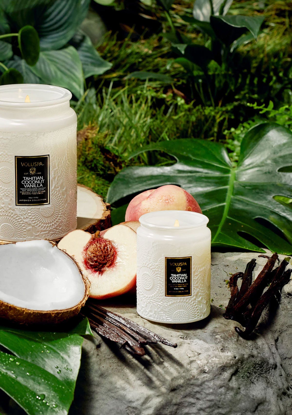 Tahitian Coconut Vanilla Small Jar Candle 5.5oz