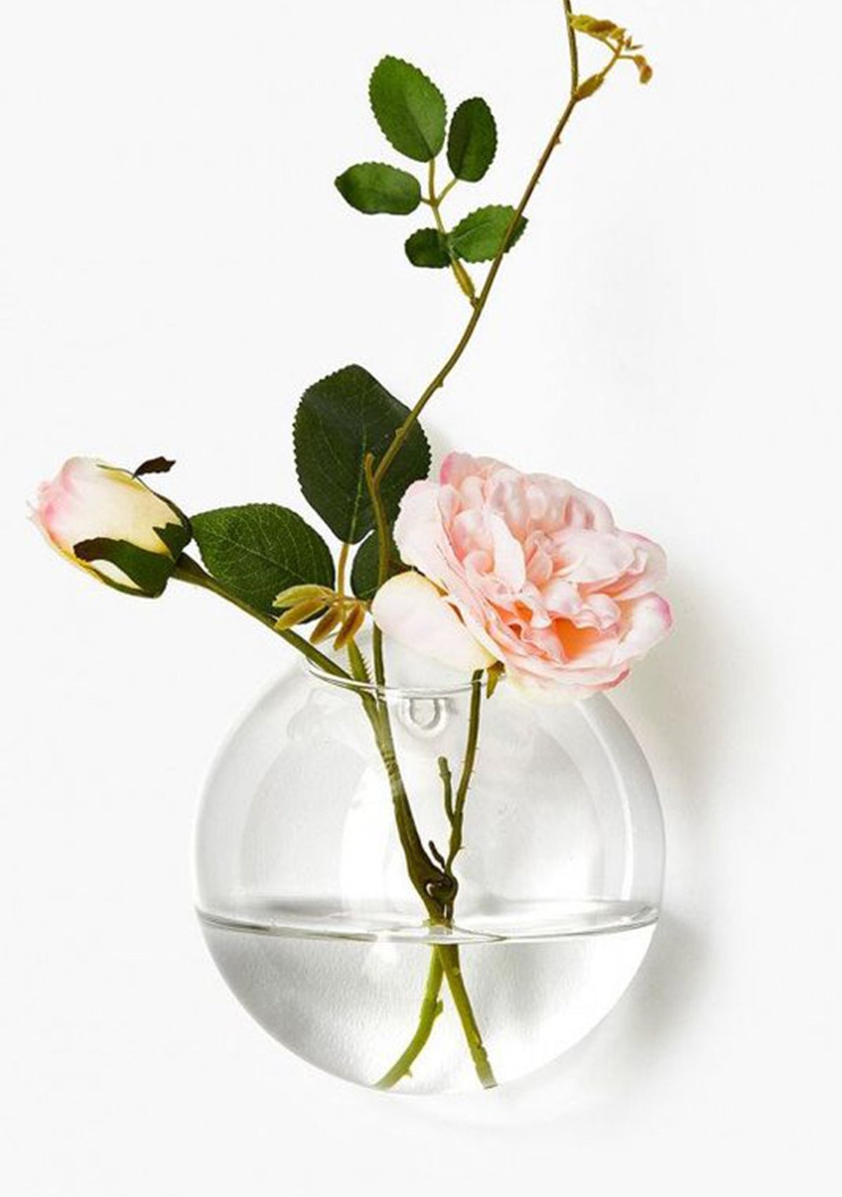 Small Wall Hanging Vase The Latest Scoop